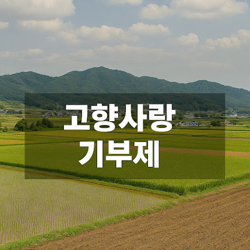 고향사랑기부제란?