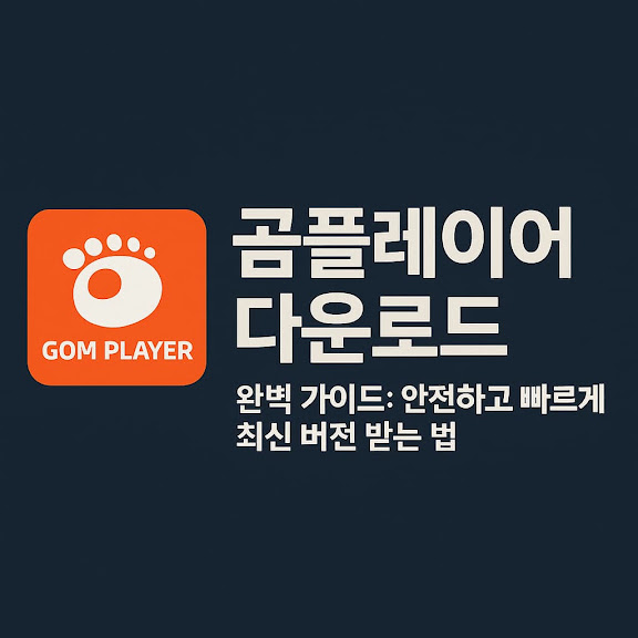 곰플레이어란?