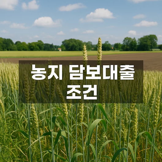 농지 담보대출 조건