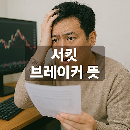 서킷 브레이커 뜻