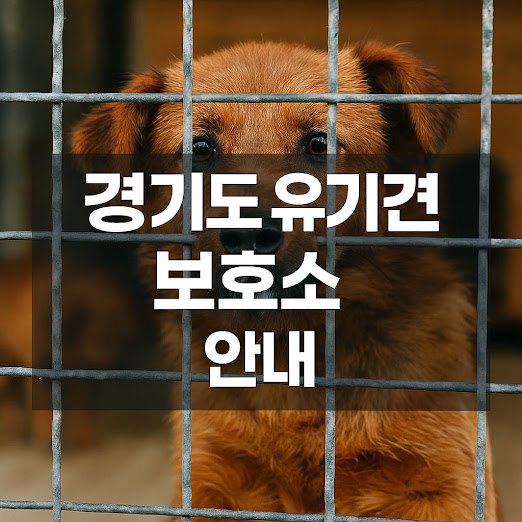 경기도 유기견 보호소 안내