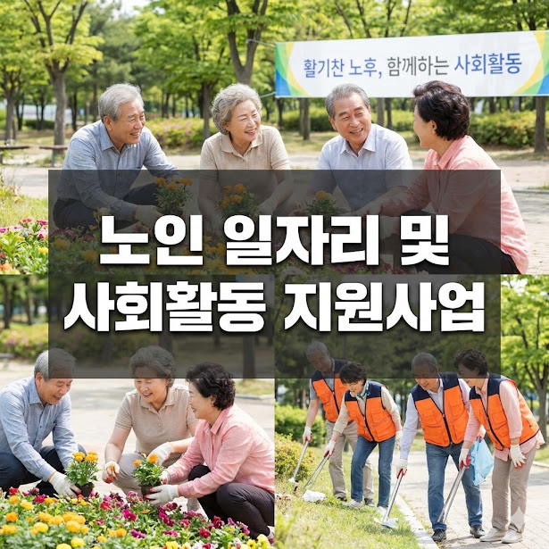 노인 일자리 및 사회활동 지원사업 유형과 신청 방법 총정리
