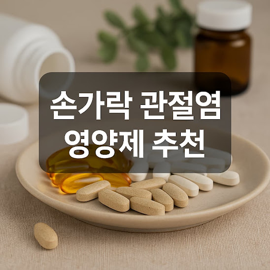 손가락 관절염 영양제 추천과 효과적인 복용법