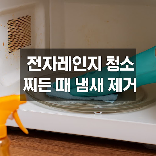 전자레인지 청소 찌든 때 냄새 제거, 이 방법이면 끝