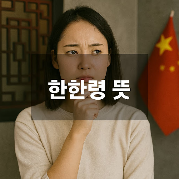 한한령 뜻
